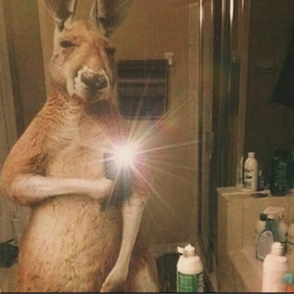 Meet your Posher, Rue